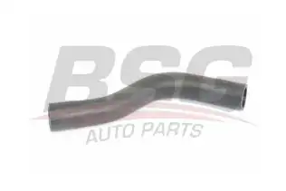 BSG 30720259 Manifold Su Hortumu