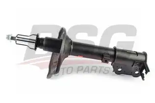 BSG 40300006 Amortisör Arka Sağ