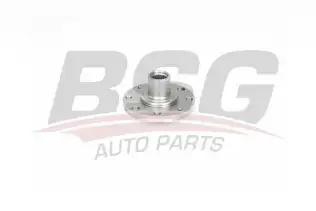 BSG 25600008 Porya Ön