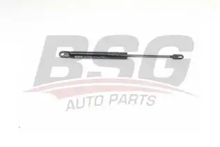 BSG 15980002 Motor Kaput Amortisörü