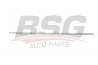 BSG 90924037 Kapı Bandı Ön Sol