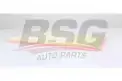 BSG 60135049 Hava Filtresi