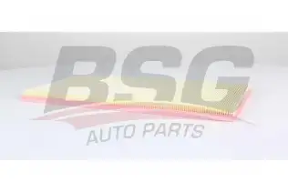 BSG 60135049 Hava Filtresi