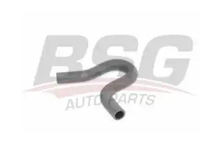 BSG 30720260 Direksiyon Hortumu