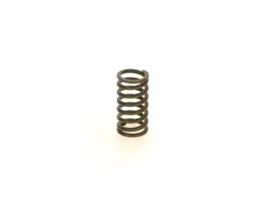 BOSCH 1414618027 Basınç Yayı - 17. Görsel