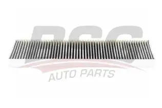 BSG 15145008 Polen Filtresi