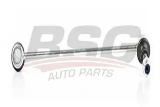 BSG 60310176 Viraj Askı Rotu Ön Sol
