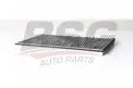BSG 60145021 Polen Filtresi