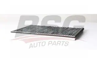 BSG 60145021 Polen Filtresi