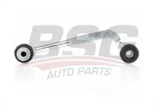 BSG 60310173 Viraj Askı Rotu Arka Sağ