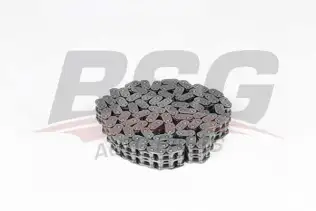 BSG 30105009 Eksantrik Zinciri