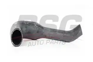 BSG 90720115 Turbo Hortumu