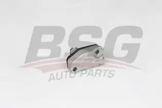 BSG 60109021 Eksantrik Zincir Gergisi