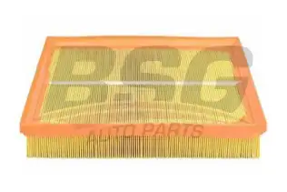 BSG 65135002 Hava Filtresi