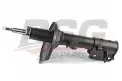 BSG 40300067 Amortisör Arka Sağ