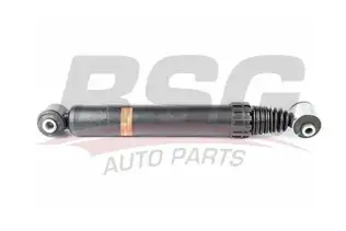 BSG 70300013 Amortisör Arka