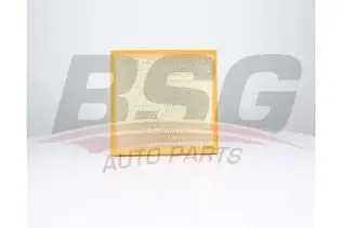 BSG 90135027 Hava Filtresi