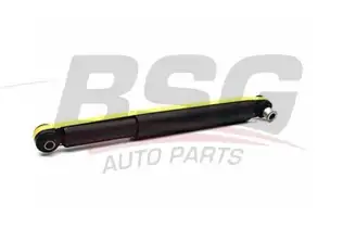 BSG 30300009 Amortisör Arka