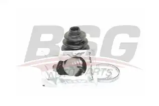 BSG 25705001 Aks Körüğü Dış