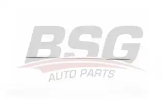 BSG 90924032 Kapı Bandı Arka Sağ