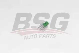 BSG 65840038 Yağ Basınç Müşürü