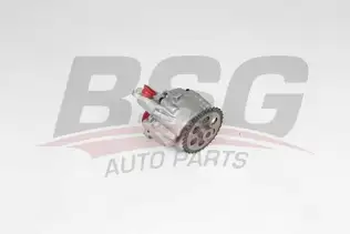 BSG 30101004 Yağ Pompası