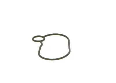 BOSCH 2440210054 O-Ring - 23. Görsel