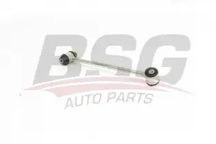 BSG 60310215 Viraj Askı Rotu Arka Sol