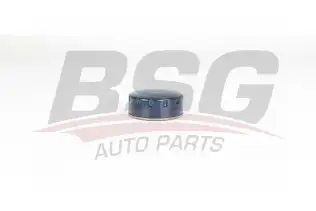 BSG 75140005 Yağ Filtresi