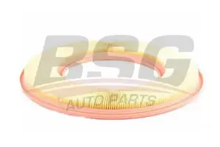 BSG 60135015 Hava Filtresi