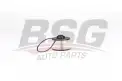 BSG 70130008 Yakıt Filtresi