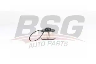 BSG 70130008 Yakıt Filtresi