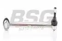 BSG 60310164 Viraj Askı Rotu Ön