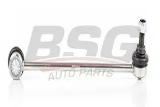 BSG 60310164 Viraj Askı Rotu Ön