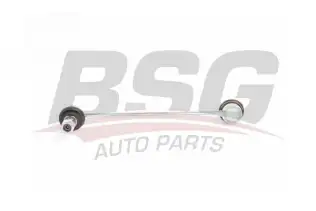 BSG 40310111 Viraj Askı Rotu Ön