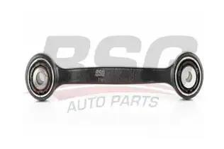 BSG 15315114 Salıncak Arka