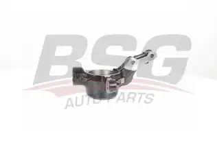 BSG 65330029 Aks Taşıyıcı Ön Sağ
