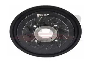 BSG 40170004 Krank Kasnağı
