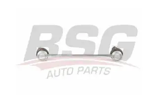 BSG 40310105 Viraj Askı Rotu Arka
