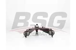 BSG 75315011 Salıncak Ön Sağ