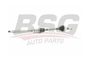 BSG 30350035 Aks Komple Ön Sağ