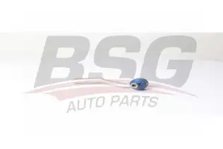 BSG 70310070 Rot Başı Sol
