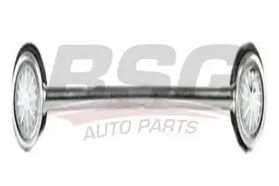 BSG 65310010 Viraj Askı Rotu Ön