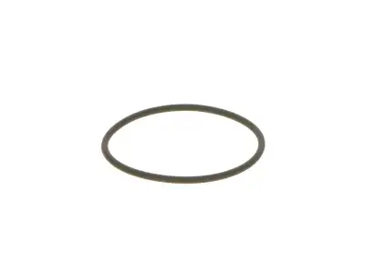BOSCH F00N201306 O-Ring - 12. Görsel