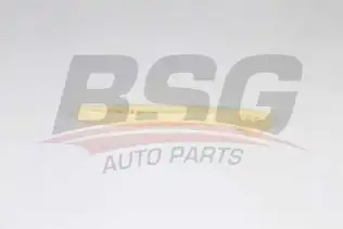 BSG 60109063 Zincir Gergi Paleti