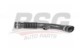 BSG 75720036 Turbo Hortumu