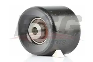 BSG 70615011 V Kayış Gergi Rulmanı