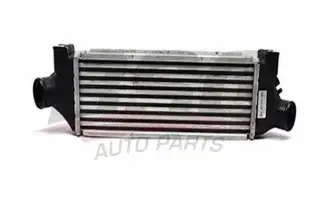 BSG 30535002 Turbo Radyatörü