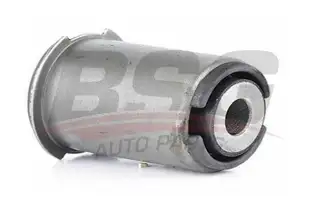 BSG 15700012 Salıncak Burcu