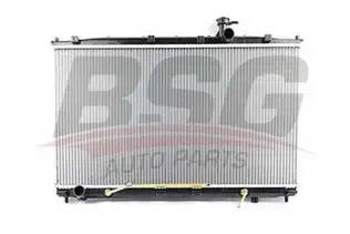 BSG 40520021 Su Radyatörü